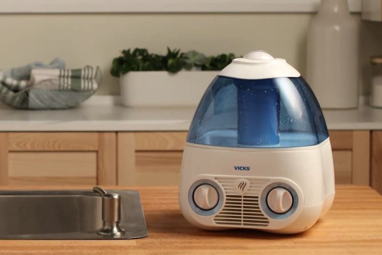 What To Put In Humidifier To Prevent Mold?