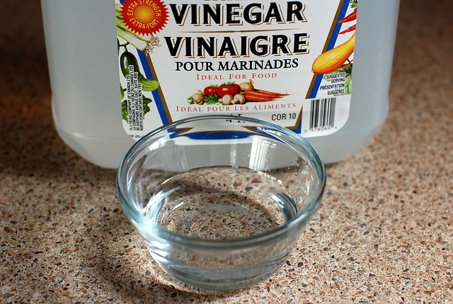 Can You Put Vinegar in a Humidifier?