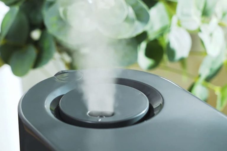 Why Does My Humidifier Smell Musty?