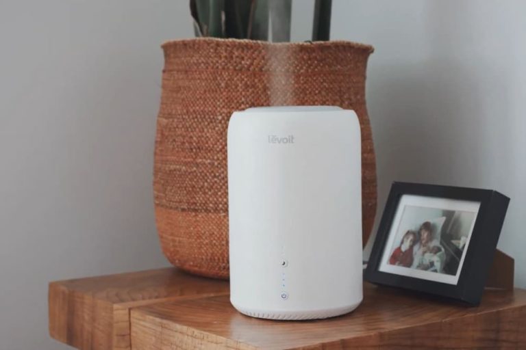 Should I Put Hot or Cold Water in My Humidifier?